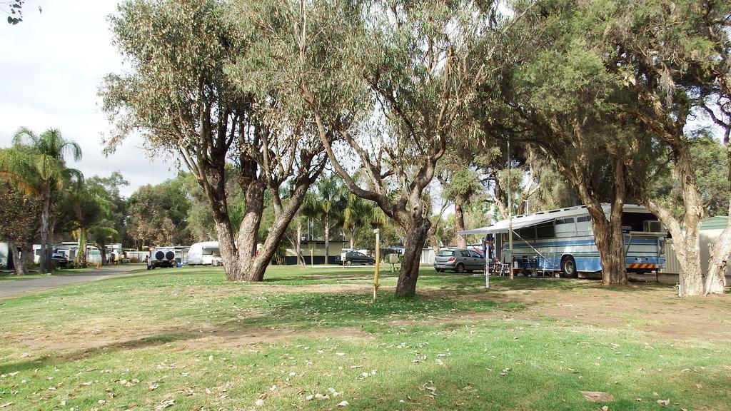 מלון Australind Tourist Park מראה חיצוני תמונה